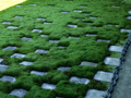 Feng Shui Japan 29