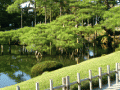 Feng Shui Japan 41